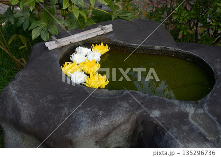 花の手水鉢 135296736