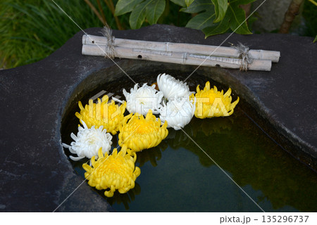 花の手水鉢 135296737