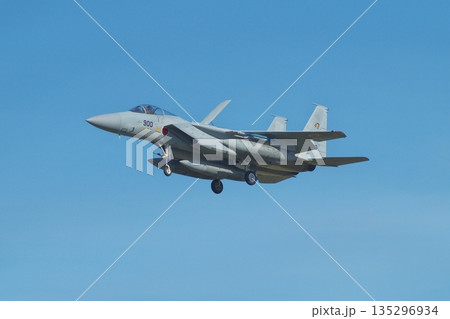着陸態勢の 第201飛行隊のF-15J 着陸態勢の 第201飛行隊のF-15J 135296934