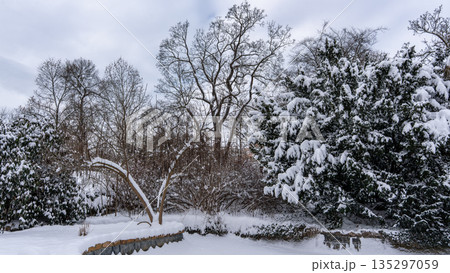 Snow-covered landscape featuring tall trees and a stone border, creating a serene winter scene with a tranquil atmosphere and soft light filtering through the clouds 135297059