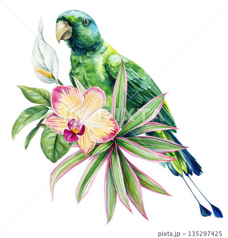 Watercolor green parrot with orchid and tropical foliage, botanical bird illustration isolated on white background 135297425
