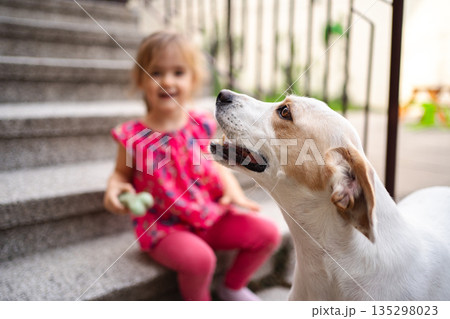 Joyful moments between a child and her playful dog on the stairs Joyful moments between a child and her playful dog on the stairs 135298023