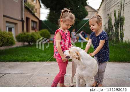 Joyful twins play with their friendly dog in a sunny backyard 135298026