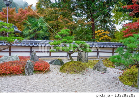秋の彩りに包まれた日本の伝統的な枯山水庭園と紅葉の風景 135298208