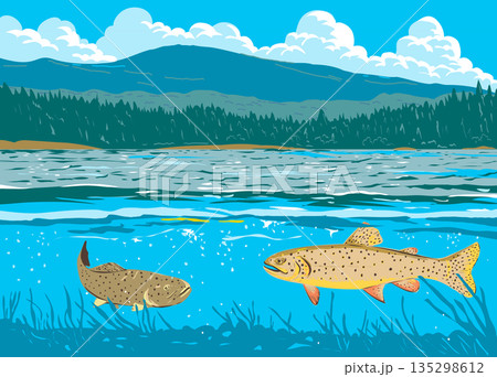 Apache Trouts in Lee Valley Lake in Arizona USA WPA Art 135298612