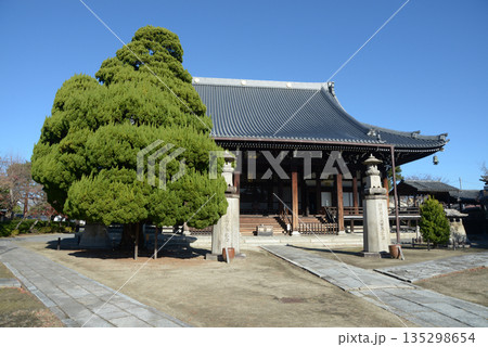 妙顕寺　本堂　京都市上京区妙顕寺前町 135298654