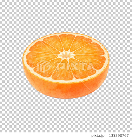 柑橘橫切面的水彩插圖 135298767