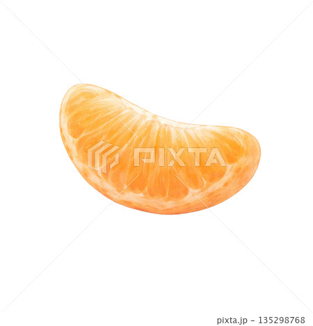 みかんの房の水彩風イラスト 135298768