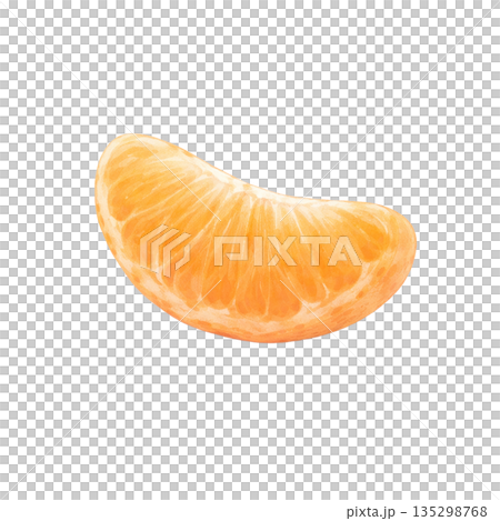 一束橘子的水彩插圖 135298768