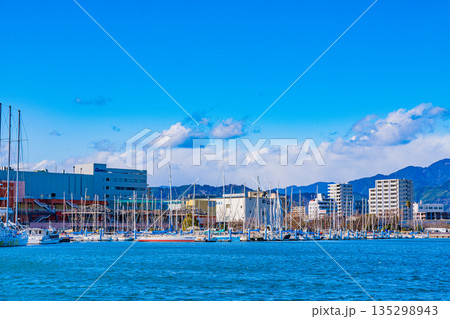 （静岡県）冬の清水マリンパーク 135298943