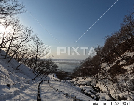 凍てついた滝 135299056