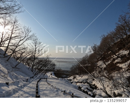 凍てついた滝 135299057