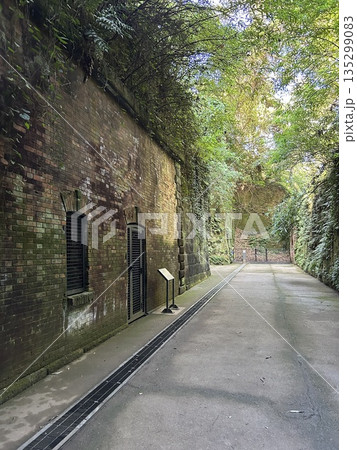 猿島 横須賀市 135299083