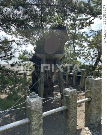 三保の松原 静岡市 135299177