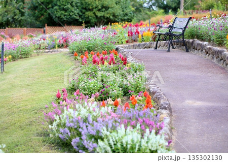 秋の花壇　 135302130