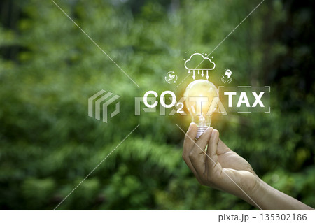 Hand holding light bulb with CO2 tax concept, symbolizing carbon regulation, clean energy, and sustainability for a greener future, symbolizing climate policy and green economy regulation. Hand holding light bulb with CO2 tax concept, symbolizing carbon regulation, clean energy, and sustainability for a greener future, symbolizing climate policy and green economy regulation. 135302186