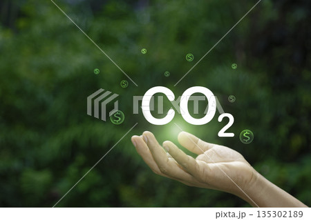 hand holding a digital interface with CO2 TAX icon, representing the concept of carbon tax and its role in promoting a green, sustainable economy. hand holding a digital interface with CO2 TAX icon, representing the concept of carbon tax and its role in promoting a green, sustainable economy. 135302189