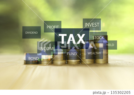 stack of coins with the word "TAX" highlighted, surrounded by other financial terms like "PROFIT", "INVEST", and "INCOME", symbolizing financial planning and investment. stack of coins with the word "TAX" highlighted, surrounded by other financial terms like "PROFIT", "INVEST", and "INCOME", symbolizing financial planning and investment. 135302205