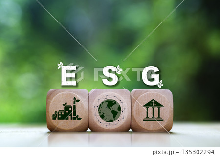 Wooden blocks with "ESG" letters and icons representing Environmental, Social, and Governance pillars, symbolizing sustainable and ethical business practices. 135302294