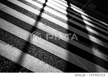 横断歩道のモノクロ画像 135302312