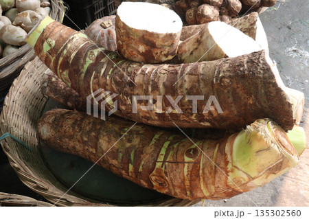 Taro root stock on shop for sell are cash crops 135302560