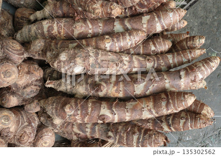 Taro root stock on shop for sell are cash crops 135302562