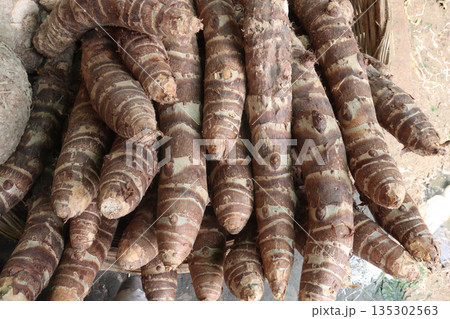 Taro root stock on shop for sell are cash crops 135302563