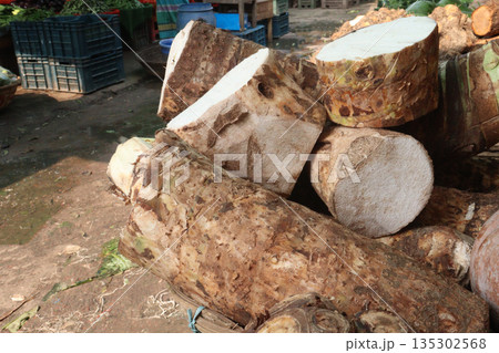 Taro root stock on shop for sell are cash crops Taro root stock on shop for sell are cash crops 135302568