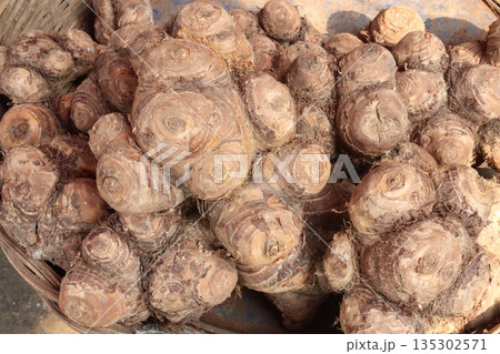 Taro root stock on shop for sell are cash crops 135302571