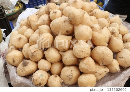 Jicama or Pachyures erases fruit on shop 135302602
