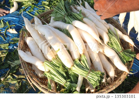 radish stock on basket in farm radish stock on basket in farm 135303101