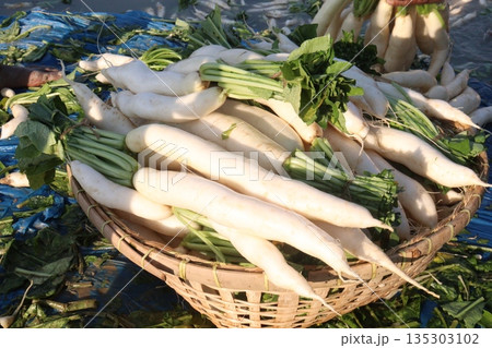 radish stock on basket in farm radish stock on basket in farm 135303102
