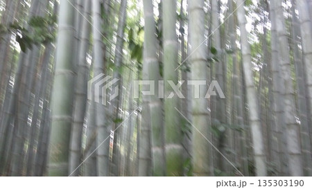 竹林の隙間から見える空 竹林の隙間から見える空 135303190