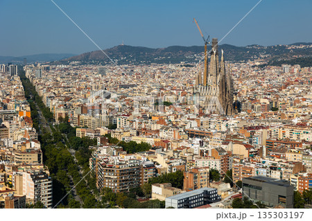 Elevated view of city of Barcelona, Spain. 135303197