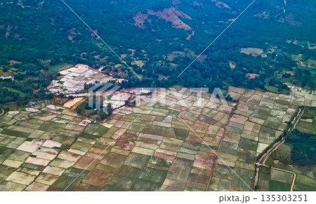 beautiful view of rice fields from the sky beautiful view of rice fields from the sky 135303251