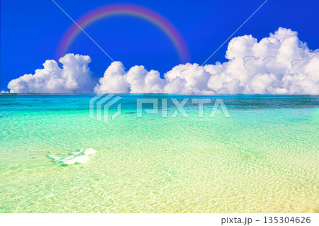 美しいサンゴ礁の海と入道雲合成 135304626