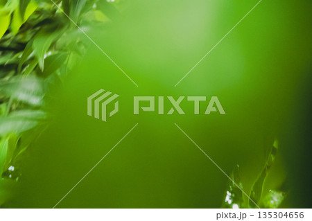 various various 135304656