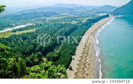beautiful beach view with natural fortifications; mangroves, sea pines, with an island backdrop beautiful beach view with natural fortifications; mangroves, sea pines, with an island backdrop 135304718