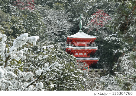 岐阜公園三重塔・雪景色 135304760