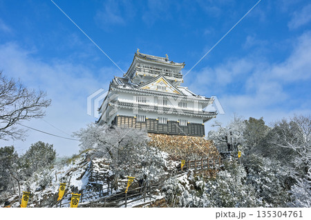 岐阜城天守閣・雪景色 135304761