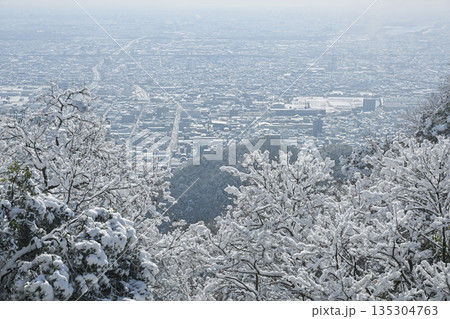 岐阜城からの眺め・雪景色 岐阜城からの眺め・雪景色 135304763
