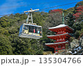 ぎふ金華山ロープウェー・1月撮影 135304766