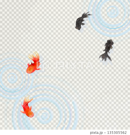 俯視圖:金魚、樹葉和水面漣漪-極簡日式插畫(和紙紋理) 俯視圖:金魚、樹葉和水面漣漪-極簡日式插畫(和紙紋理) 135305562
