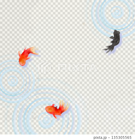 上から見た金魚と葉と水面の波紋　ミニマルな和風イラスト(和紙テクスチャ) 135305565