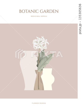 Medicinal Kopsia flowers with leaves in vase Medicinal Kopsia flowers with leaves in vase 135305636