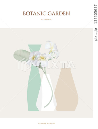 Plumeria flowers with leaves in vase 135305637