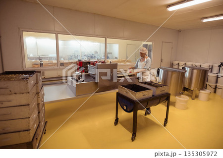 Woman handling product trays on stainless steel conveyor in food processing room, copy space Woman handling product trays on stainless steel conveyor in food processing room, copy space 135305972