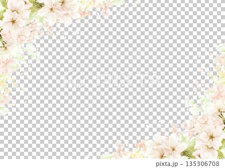 Cherry blossom frame with scattered petals 135306708