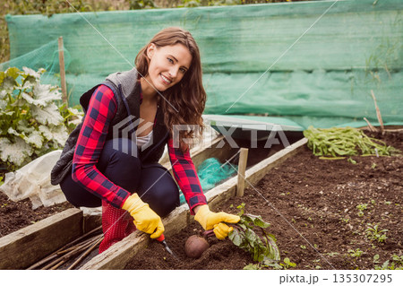 Woman crouching in backyard raised bed harvesting beet with trowel wearing plaid shirt and gloves 135307295