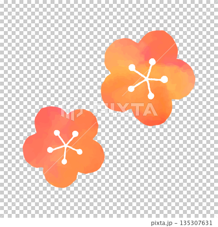 Watercolor style plum blossom Watercolor style plum blossom 135307631